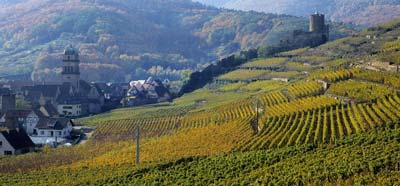 L’essentiel de l’Alsace