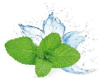 Séjour « Fraîcheur d’été & Spa » avec gommage à la menthe du jardin